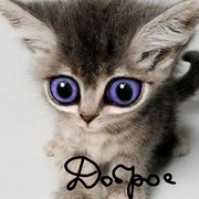 Julie Hall's avatar