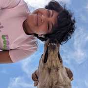 Sudha Sanjeevani's avatar