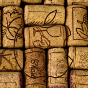 Amelia Bull's avatar