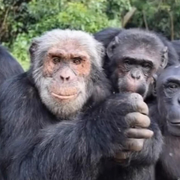 Girik Khullar's avatar