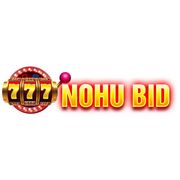 Nohudoithuong bid's avatar
