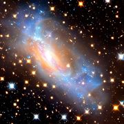 Johann Fernandez's avatar