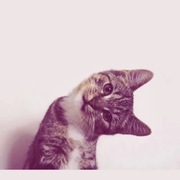 Zoe .'s avatar