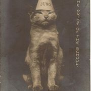 Raveka Purba's avatar