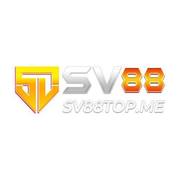 SV88living living's avatar
