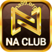 NA99 org's avatar