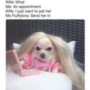 Florence J's avatar