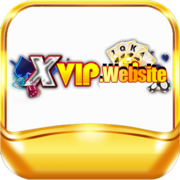 XVIP Website's avatar