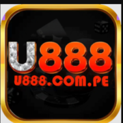 U888 com pe's avatar