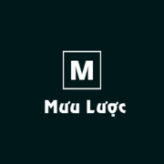 Mưu lược's avatar