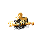 TDTC Casino's avatar