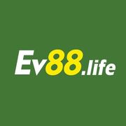 Ev88 life's avatar