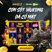 nohu uytin's avatar