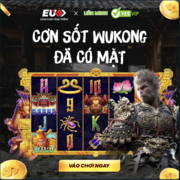 nohu uytin's avatar