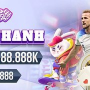 vip66 casino's avatar