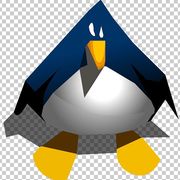 Madison Fung's avatar