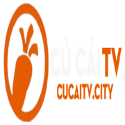 cucaitv city's avatar