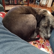 Jesse Ortega's avatar