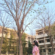 Gunjan Bholane Gunjan Bholane