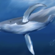 Khushi Mishra's avatar