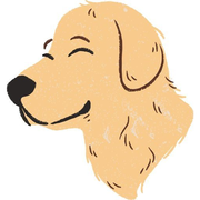 Best Food For Golden Retriever's avatar