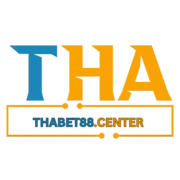 thabet tamtam's avatar