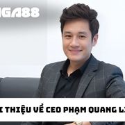 Quang Linh's avatar
