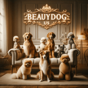 Beautdog US's avatar