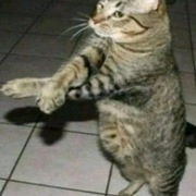 Andres O's avatar