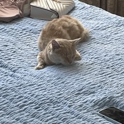 illia korshunov's avatar