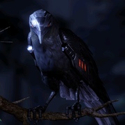 Charlie Jiang's avatar