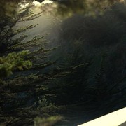 Camille Gandotra's avatar