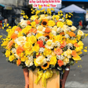 dienhoa phuyen's avatar