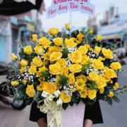 dienhoa quangbinh's avatar