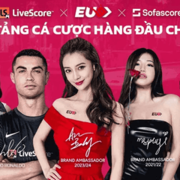 igaming vietnam's avatar