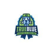 True Blue Heating And Cooling's avatar