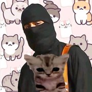 Viraj Dhamnaskar's avatar