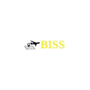 Biss VN's avatar
