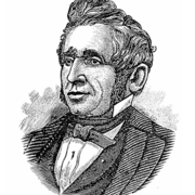 Wieland Svetlana's avatar