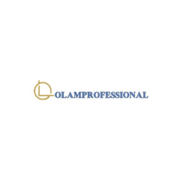 Olamprofessional VN's avatar