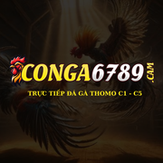 CON GÀ 6789's avatar