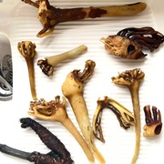 Max Friedrich's avatar