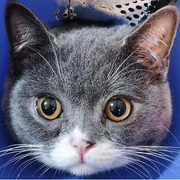 Kiflorez Reachal's avatar