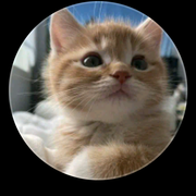 Rana alam's avatar