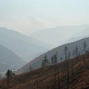 Dorji Tshering's avatar