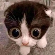 Vu Thanh Loc (Loc) Mai