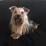 Juliana Losada Prieto's avatar