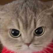 Porter Dawson's avatar