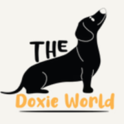 The Doxie  World's avatar