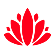 Trauma Free  Coaching's avatar